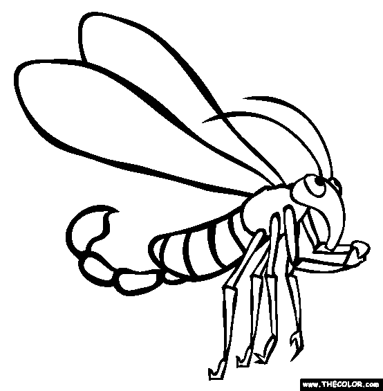 Scorpionfly Coloring Page