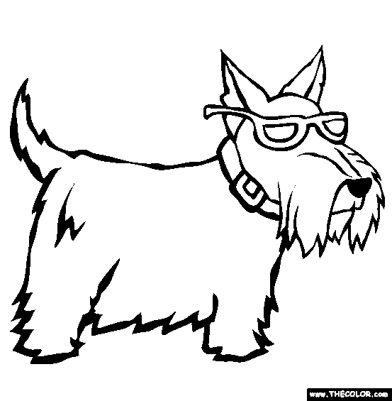 Scottish Terrier Coloring Page