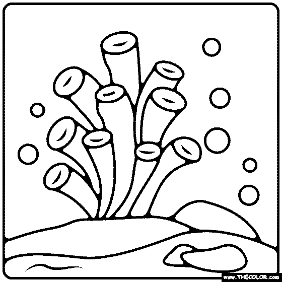 Sea Coral Coloring Page