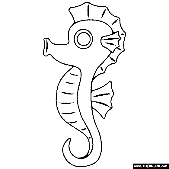 Sea Horse Coloring Page