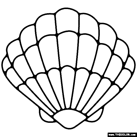 Sea Shell Coloring Page