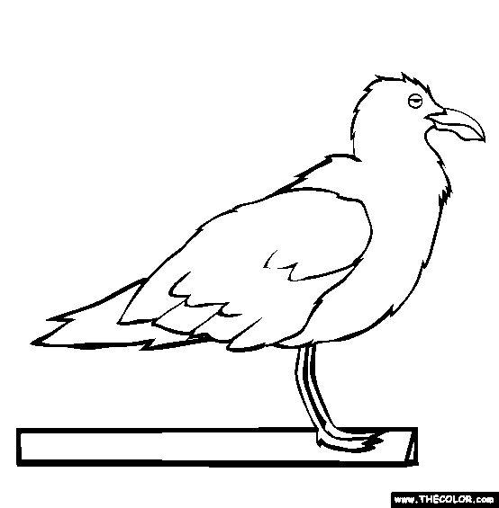 Seagull Coloring Page