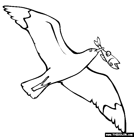 Opila Bird coloring page - Download, Print or Color Online for Free