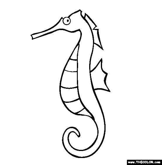 Seahorse Coloring Page