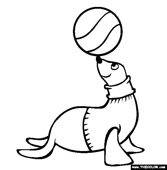 Seal Coloring Page