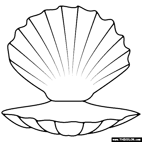 Seashell Coloring Page