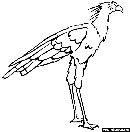 Secretary Bird Coloring Page