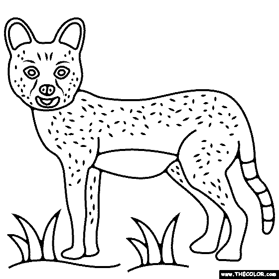 Serval Cat Coloring Page
