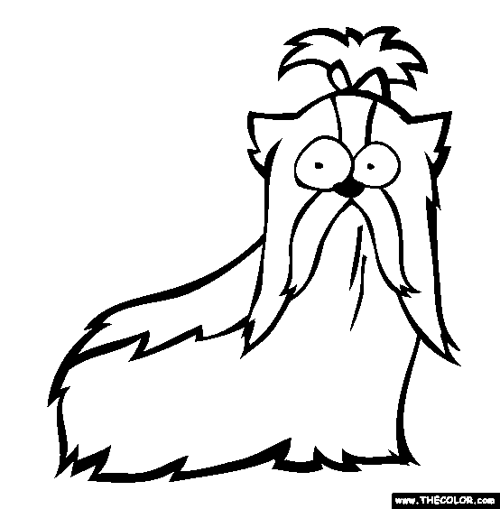 Shih Tzu Coloring Page