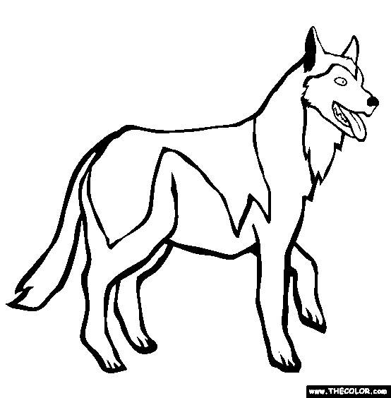 Siberian Husky Coloring Page