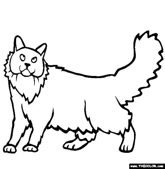 Siberian Breed Cat Online Coloring Page