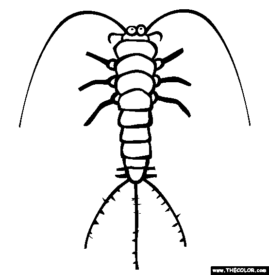 Silverfish Coloring Page