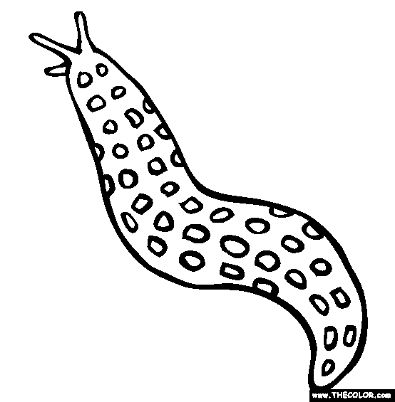 Slug Coloring Page