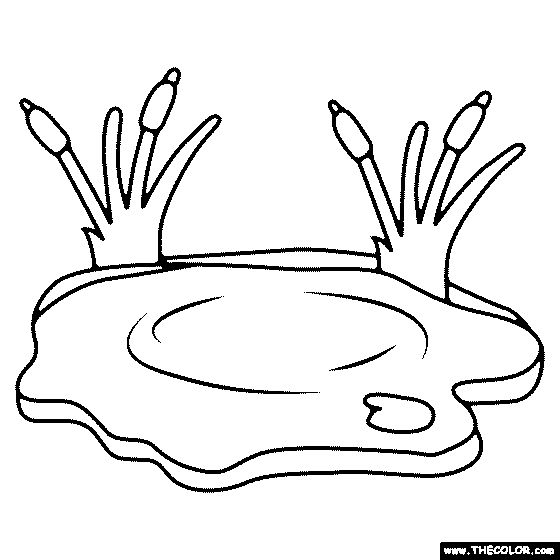 Small Pond Coloring Page