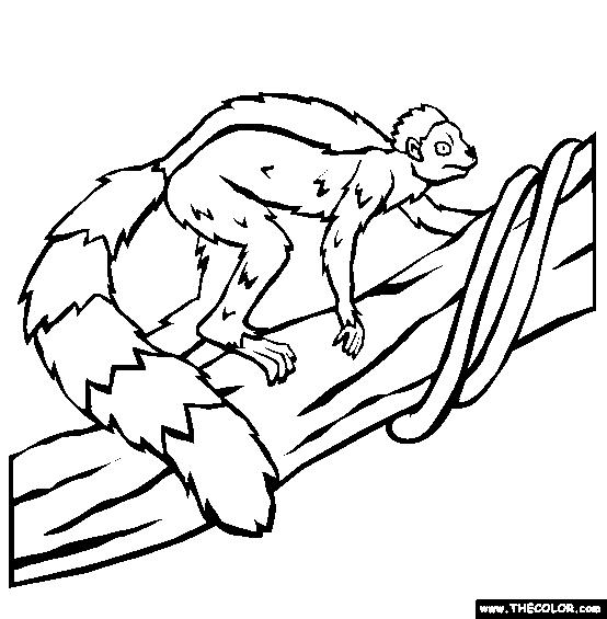 Smilodectes Coloring Page
