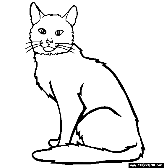 Cats Online Coloring Pages