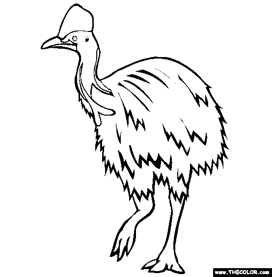 Southern Cassowary Coloring Page