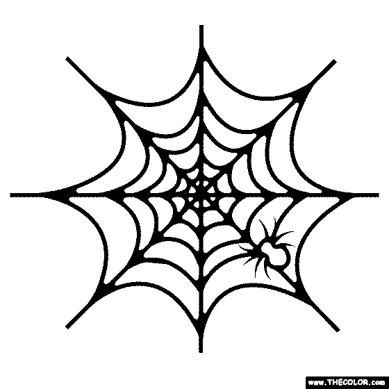 Spider On Web Coloring Page