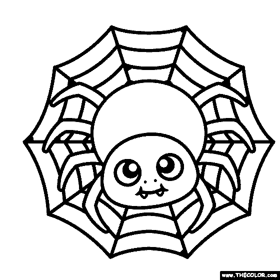 Spider In Web Coloring Page