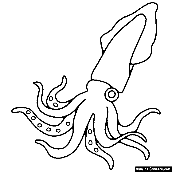 Squid Coloring Page