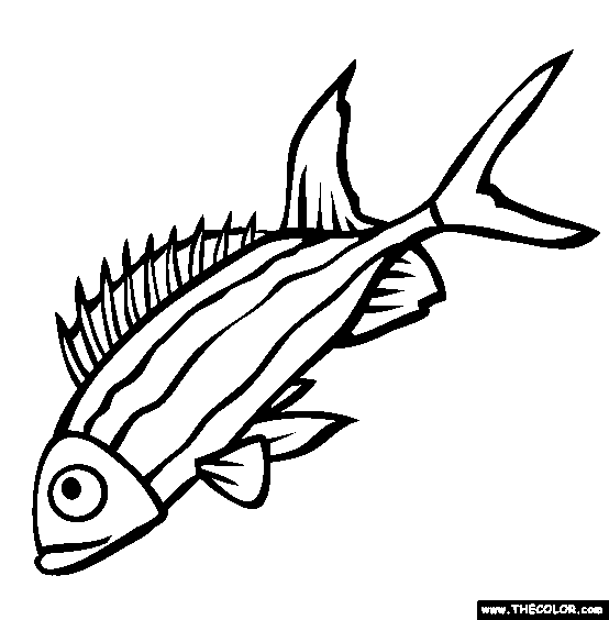 Squirrelfish Coloring Page