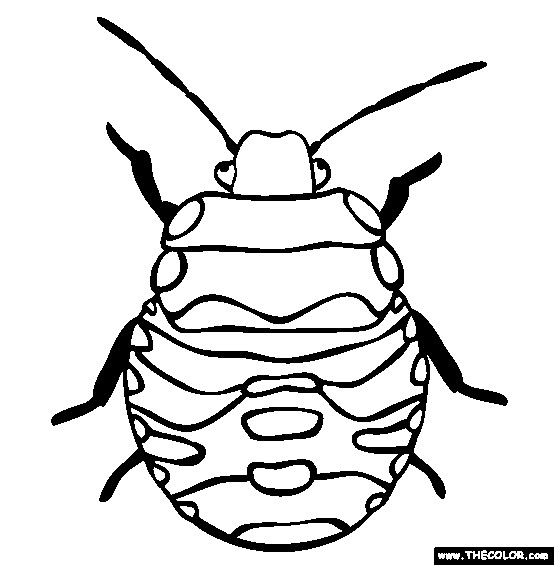 Stink Bug Coloring Page