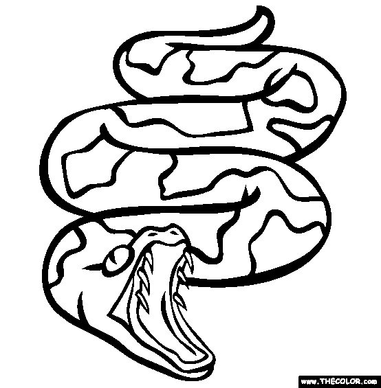 Sucuriju Gigante Coloring Page