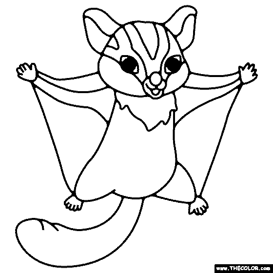 Sugar Glider Coloring Page