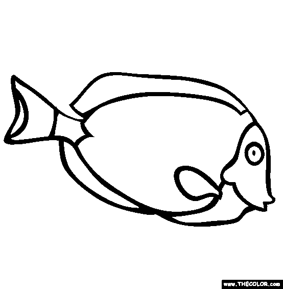 Surgeonfish Coloring Page