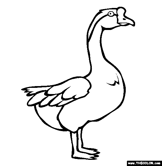 Swan Goose Coloring Page