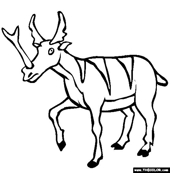 Synthetoceras Coloring Page