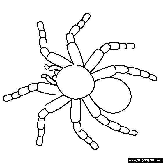 Tarantula Coloring Page