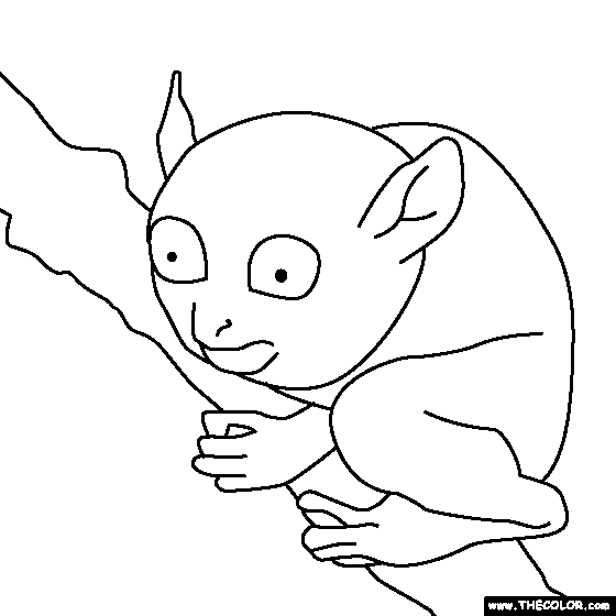 Tarsier Coloring Page