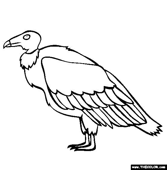 Teratornis Coloring Page