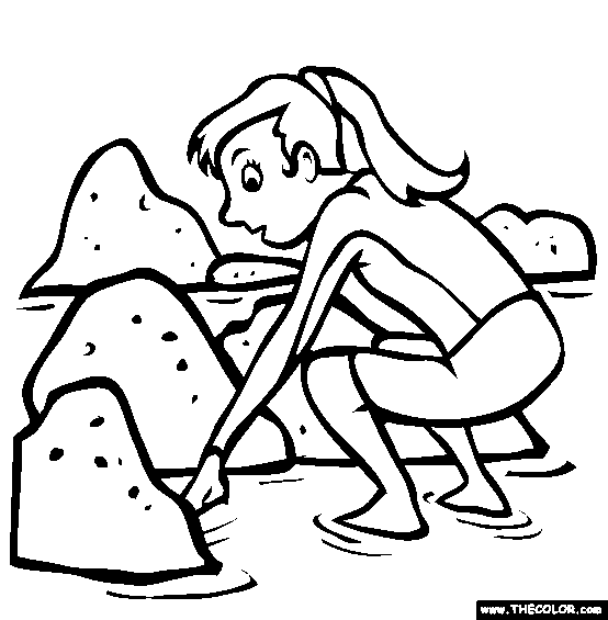 Tide Pooling Coloring Page