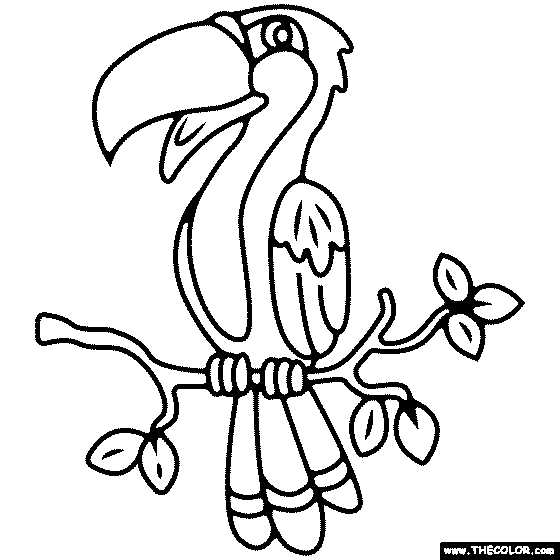 Tropical Bird  Coloring Page
