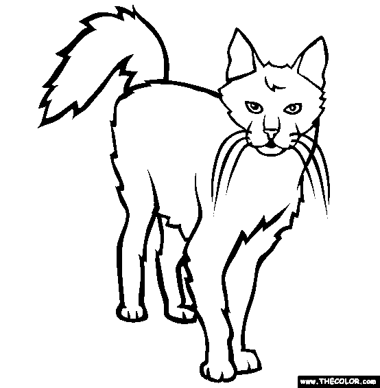 Turkish Angora Breed Cat Online Coloring Page