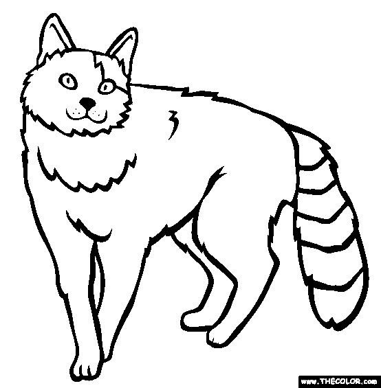 Turkish Van Breed Cat Online Coloring Page