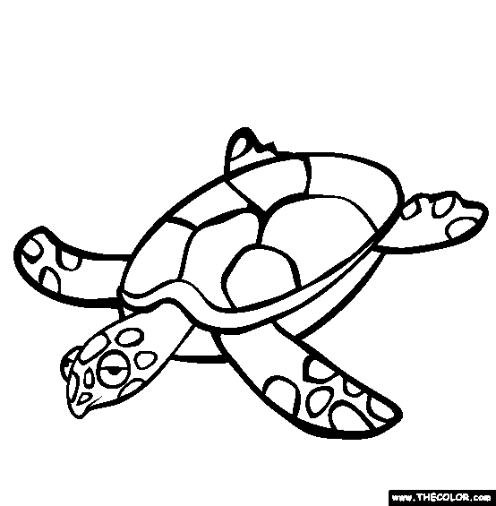 Turtle Coloring Page