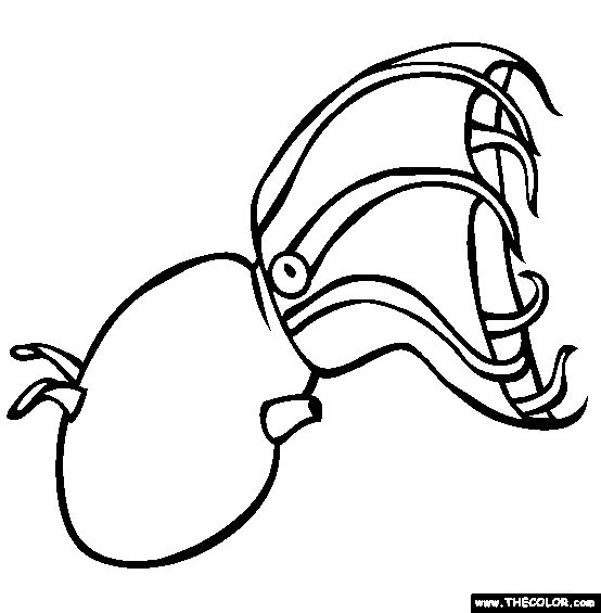 Vampire Squid Coloring Page