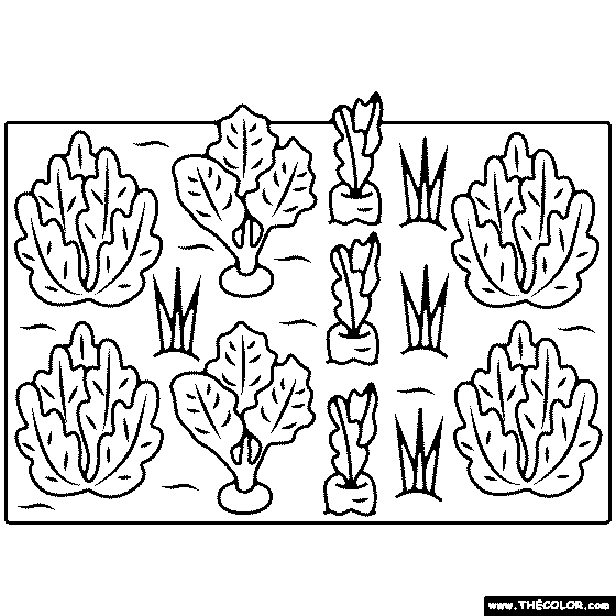 Vegetable Garden Coloring Page