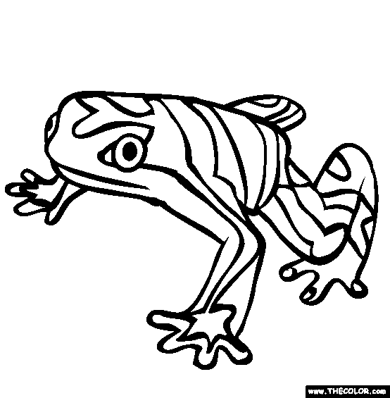 Venezuelan Yellow Frog Coloring Page