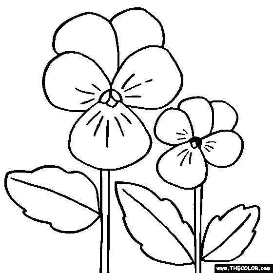 Violet Coloring Page