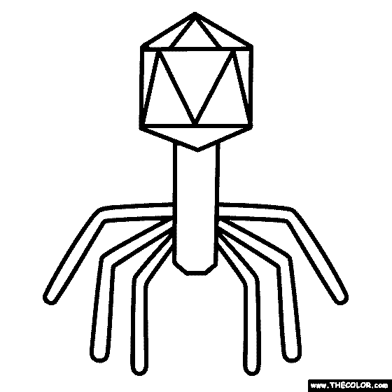 Virus Coloring Page