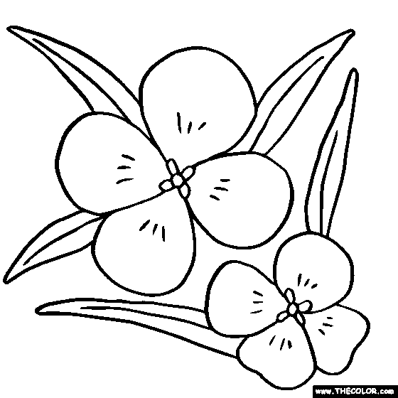 Wallflower Coloring Page, Wallflower Coloring Page