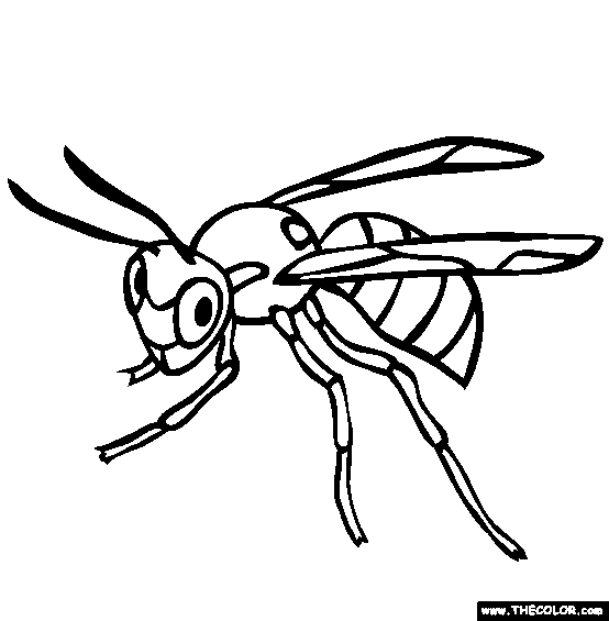 Wasp Coloring Page