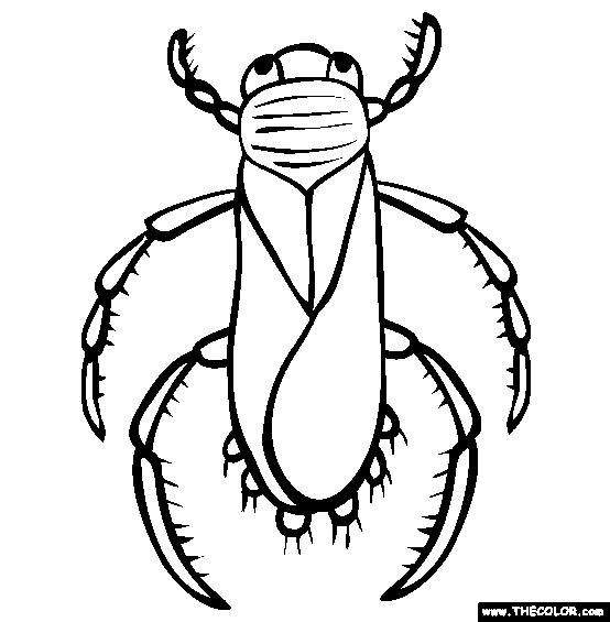 Water Bug Coloring Page
