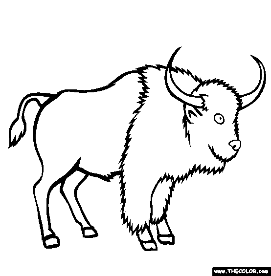 Wisent Coloring Page