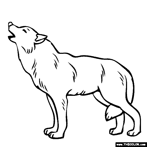 Wolf Coloring Page | Color a Grey Wolf