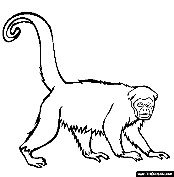 Yellow Tailed Wooly Monkey Coloring Page